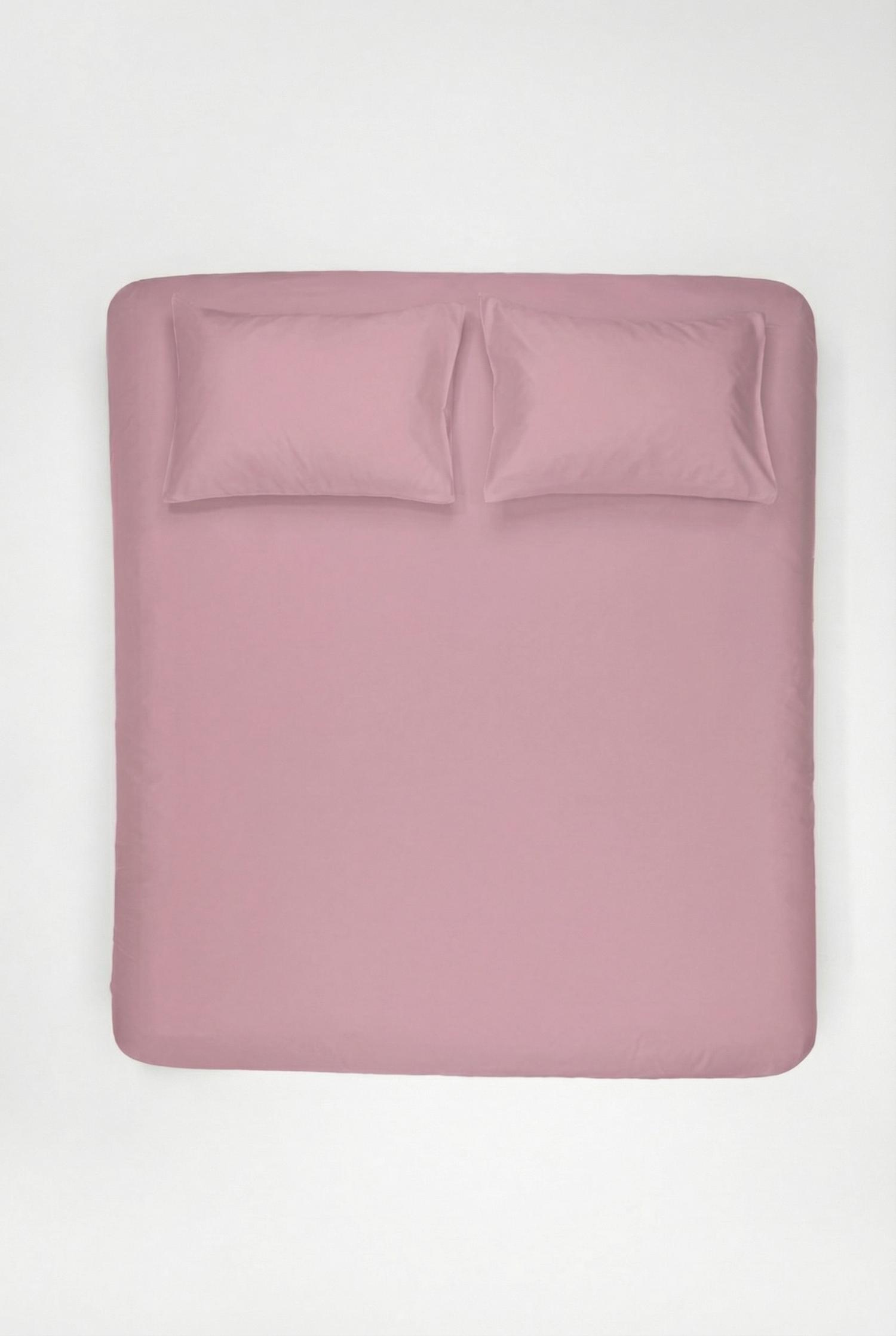 5393e91f-00c1-48ad-99ab-e70ac42efc40